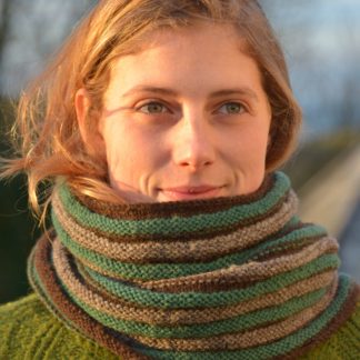 Campscott Reversible Striped Scarf