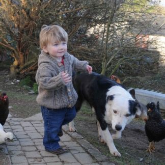 Child's Hooded Jacket