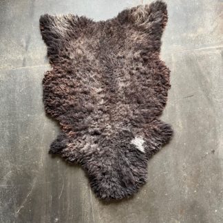 Organic Zwartbles x Sheepskin