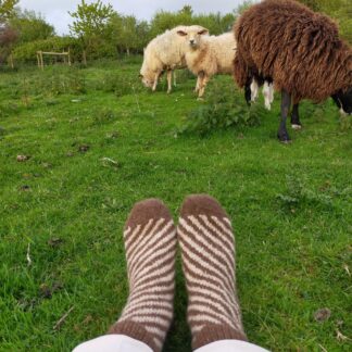 Cinnamon Spiral Socks Knitting Kit